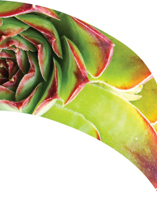 TTH328 - Smith Walbridge Band Products