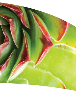 TTH328 - Smith Walbridge Band Products