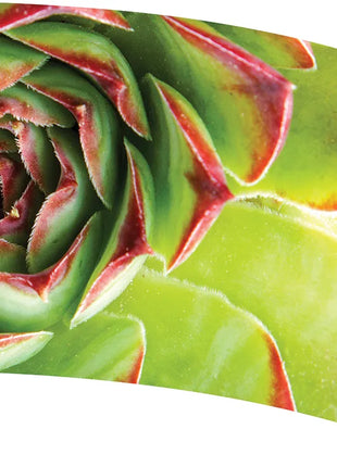 TTH328 - Smith Walbridge Band Products