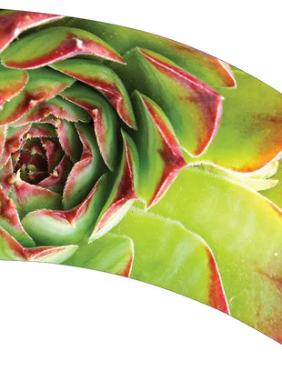 TTH328 - Smith Walbridge Band Products