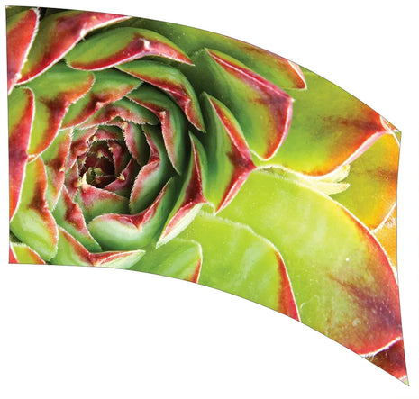 TTH328 - Smith Walbridge Band Products