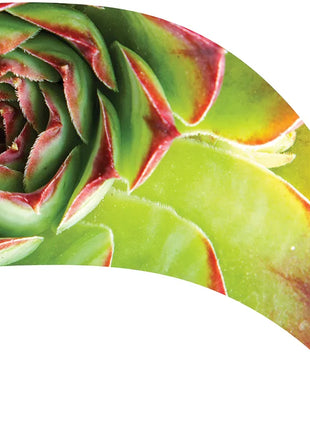 TTH328 - Smith Walbridge Band Products