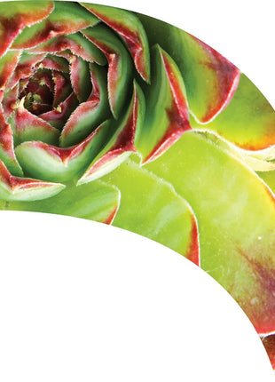 TTH328 - Smith Walbridge Band Products