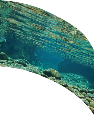 TTH330 - Smith Walbridge Band Products