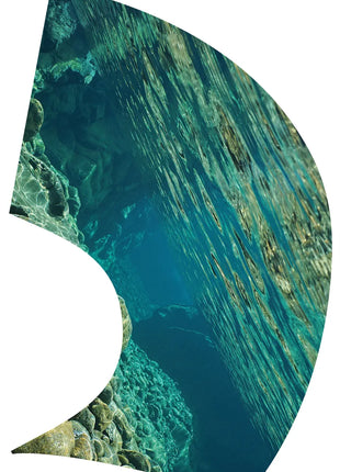 TTH330 - Smith Walbridge Band Products