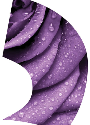 TTH331 - Smith Walbridge Band Products