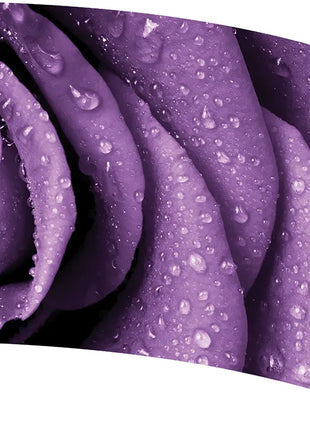 TTH331 - Smith Walbridge Band Products