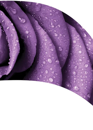 TTH331 - Smith Walbridge Band Products