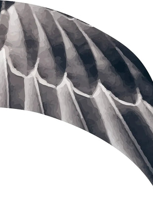 TTH340 - Smith Walbridge Band Products