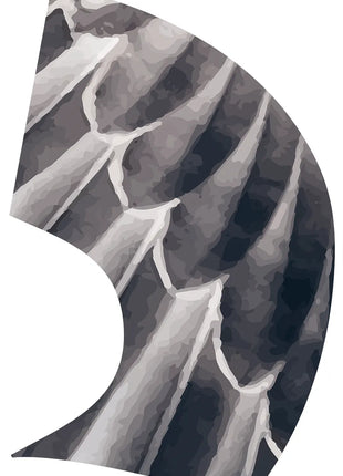 TTH340 - Smith Walbridge Band Products