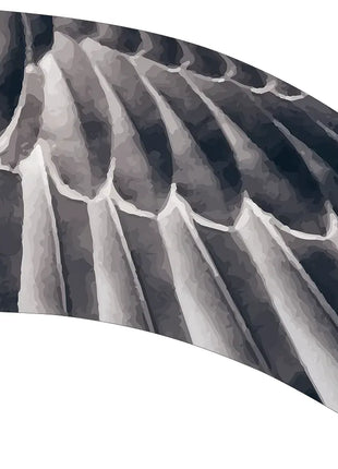 TTH340 - Smith Walbridge Band Products