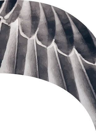 TTH340 - Smith Walbridge Band Products