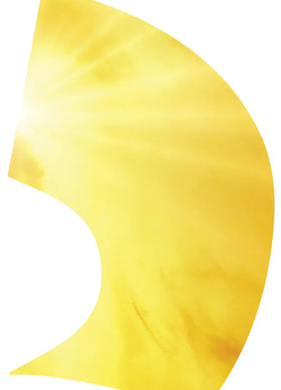 TTH342 - Smith Walbridge Band Products