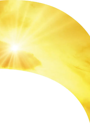 TTH342 - Smith Walbridge Band Products