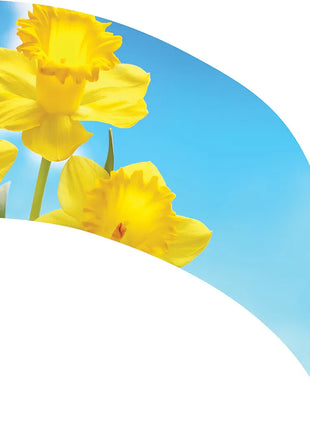 TTH343 - Smith Walbridge Band Products