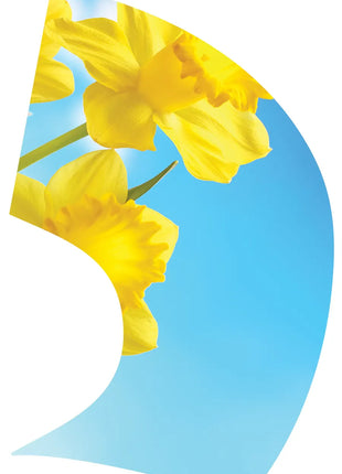 TTH343 - Smith Walbridge Band Products