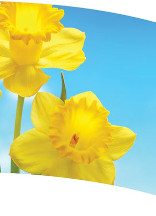 TTH343 - Smith Walbridge Band Products