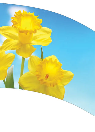 TTH343 - Smith Walbridge Band Products