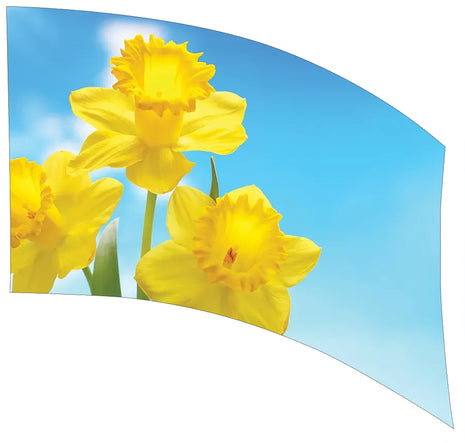 TTH343 - Smith Walbridge Band Products