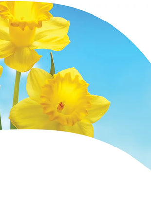 TTH343 - Smith Walbridge Band Products