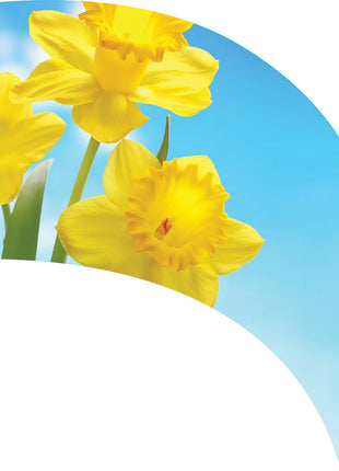 TTH343 - Smith Walbridge Band Products