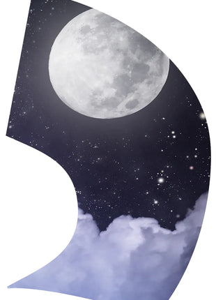 TTH344 - Smith Walbridge Band Products