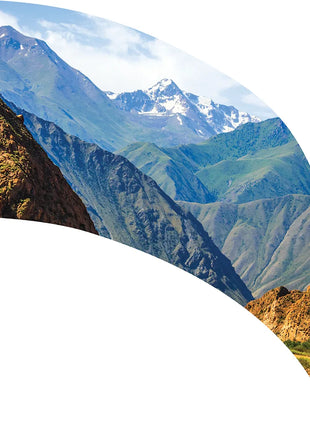 TTH347 - Smith Walbridge Band Products