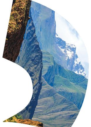 TTH347 - Smith Walbridge Band Products