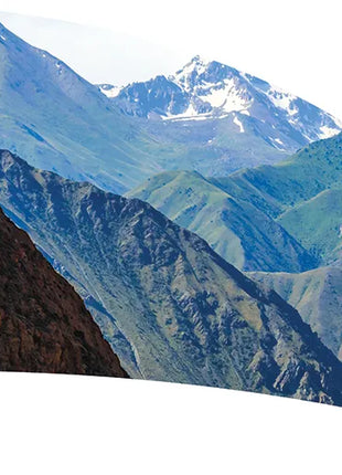 TTH347 - Smith Walbridge Band Products