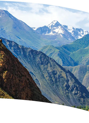 TTH347 - Smith Walbridge Band Products