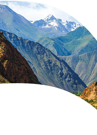 TTH347 - Smith Walbridge Band Products