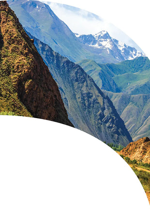 TTH347 - Smith Walbridge Band Products