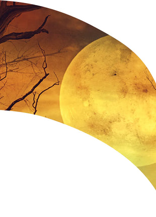 TTH348 - Smith Walbridge Band Products