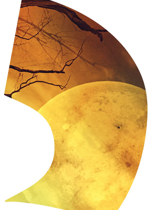 TTH348 - Smith Walbridge Band Products