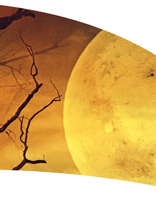 TTH348 - Smith Walbridge Band Products