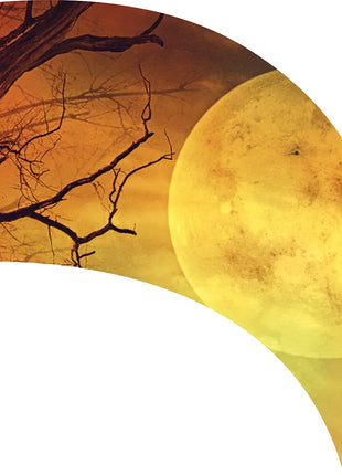 TTH348 - Smith Walbridge Band Products