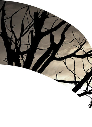 TTH351 - Smith Walbridge Band Products