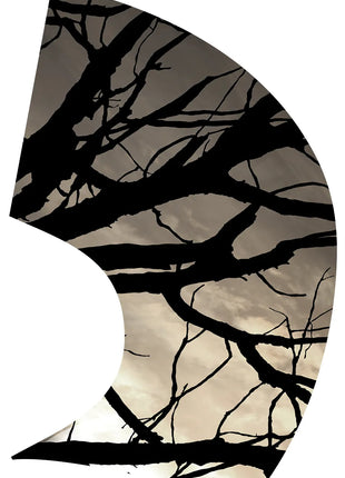 TTH351 - Smith Walbridge Band Products