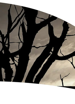 TTH351 - Smith Walbridge Band Products