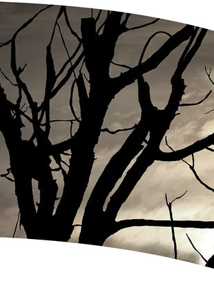 TTH351 - Smith Walbridge Band Products