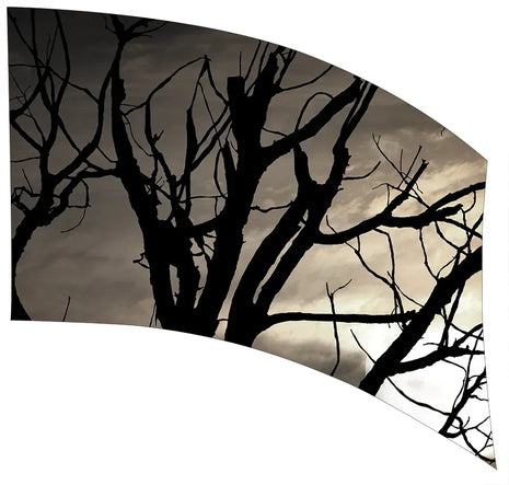 TTH351 - Smith Walbridge Band Products