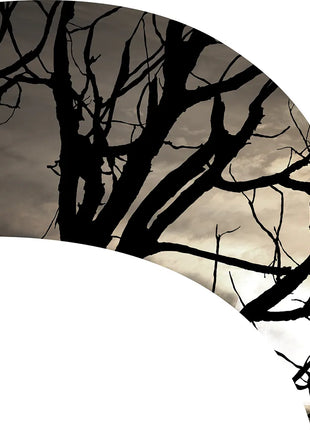 TTH351 - Smith Walbridge Band Products