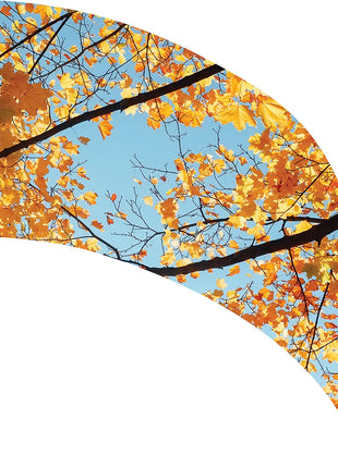 TTH352 - Smith Walbridge Band Products