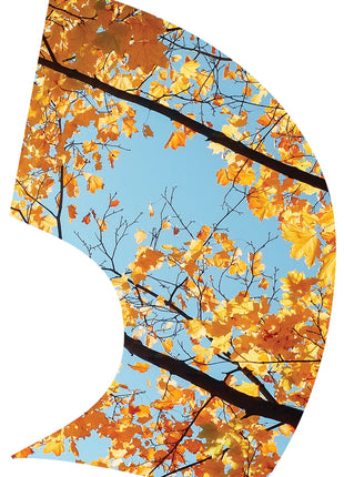 TTH352 - Smith Walbridge Band Products