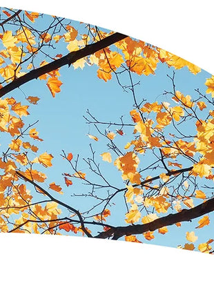 TTH352 - Smith Walbridge Band Products