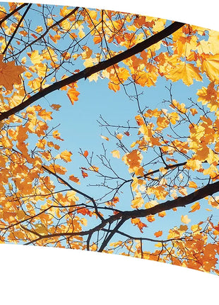 TTH352 - Smith Walbridge Band Products