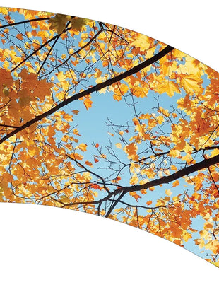 TTH352 - Smith Walbridge Band Products