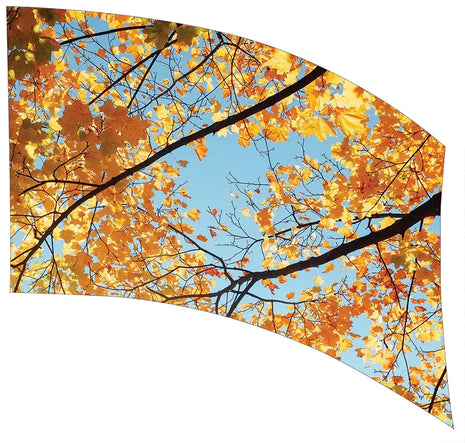 TTH352 - Smith Walbridge Band Products