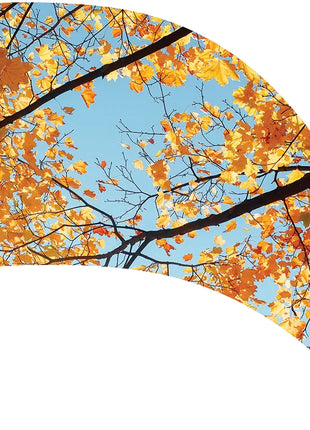 TTH352 - Smith Walbridge Band Products