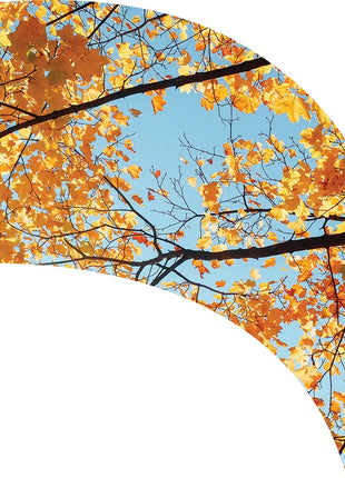 TTH352 - Smith Walbridge Band Products